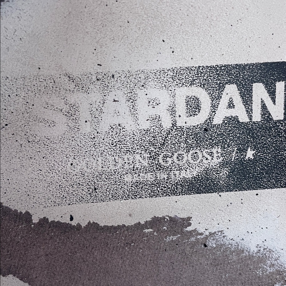 Golden Goose Stardan model—Cream and Black Distressed Sneakers. - Picture 16 of 16